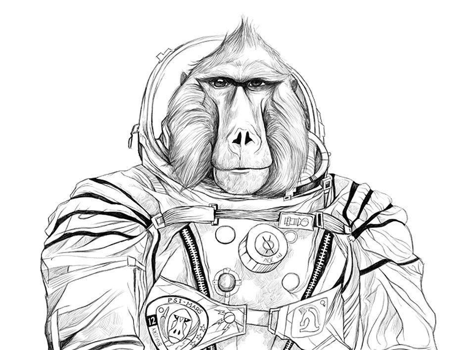 Astronaut Monkey